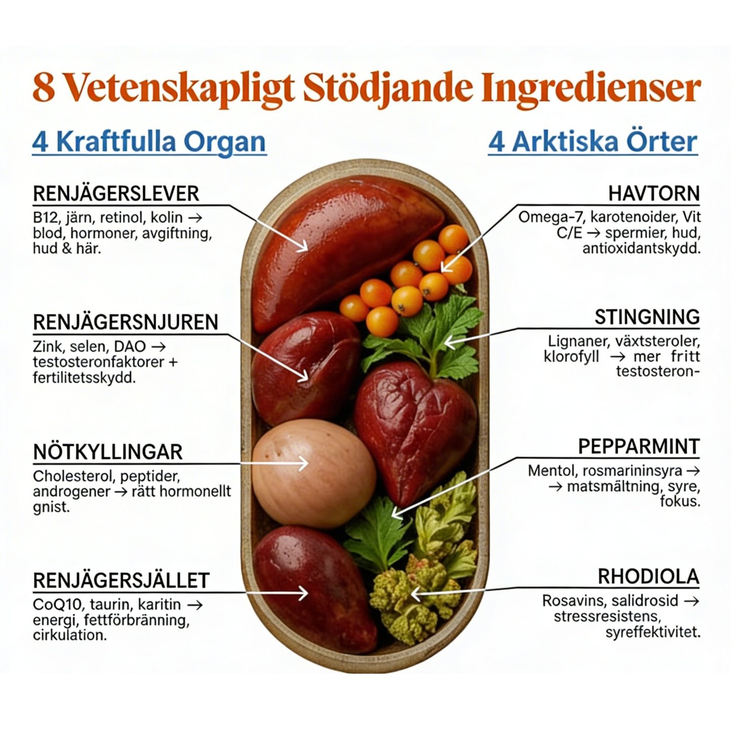 Renutra Testosteronhöjare