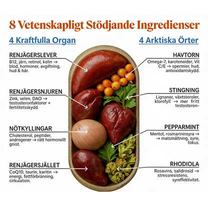 Renutra Testosteronhöjare